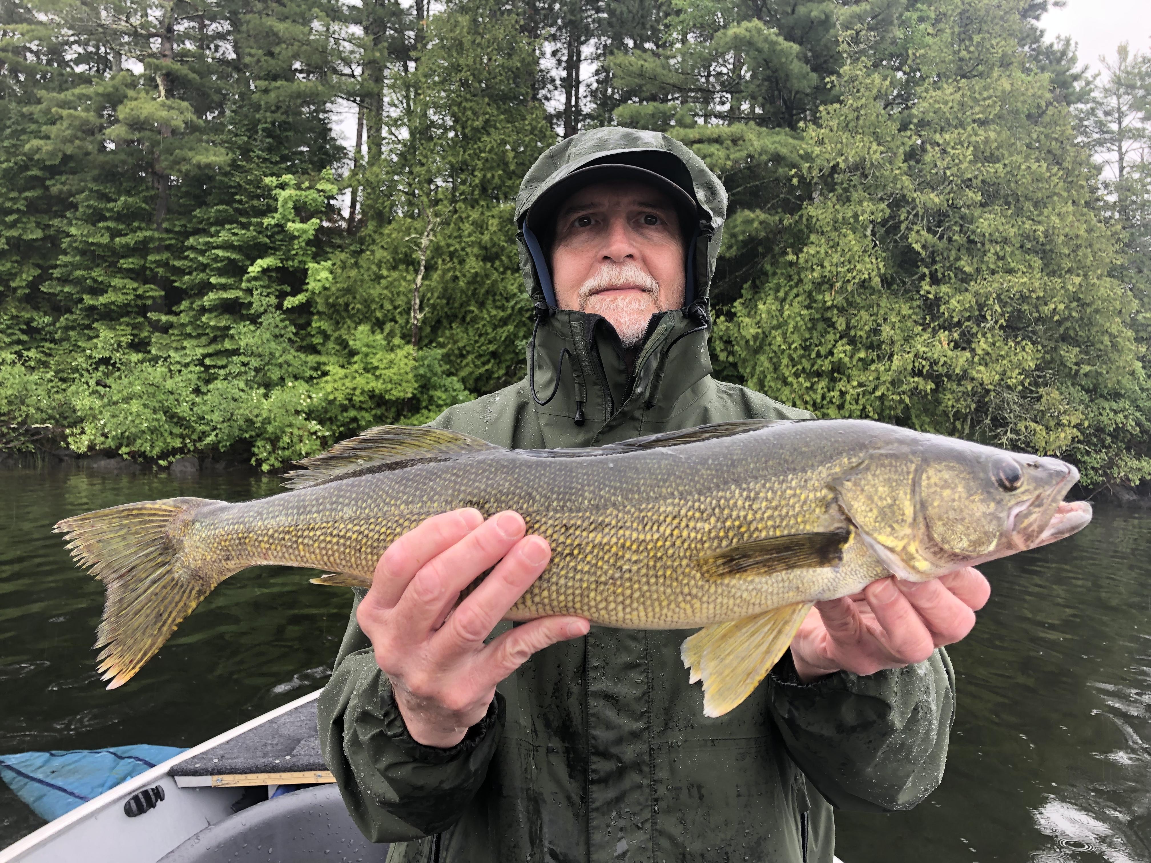 Basswood Lake BWCADuluthGunflint TrailNorth Shore Lake Superior