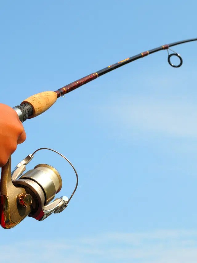 The Most Popular Types of Fishing Rods Complete Guide Fishing Munk