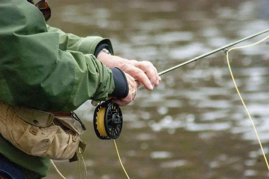 Understanding Fly Rod Actions Fishing Papa