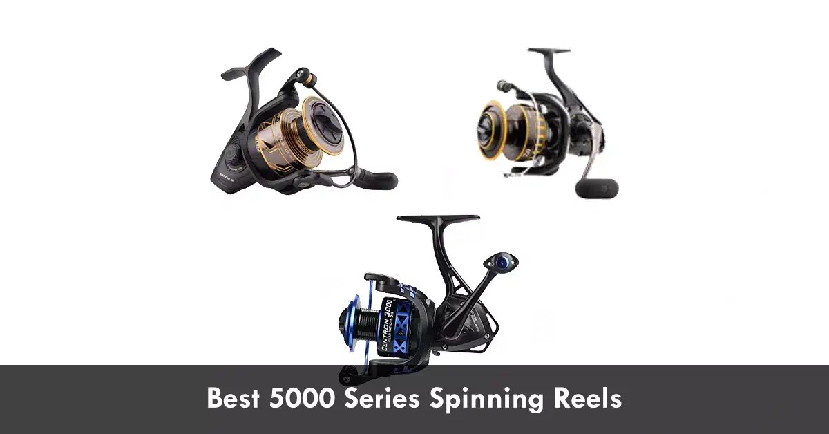 Best 5000 Series Spinning Reels (2024 Guide) Fishing Papa