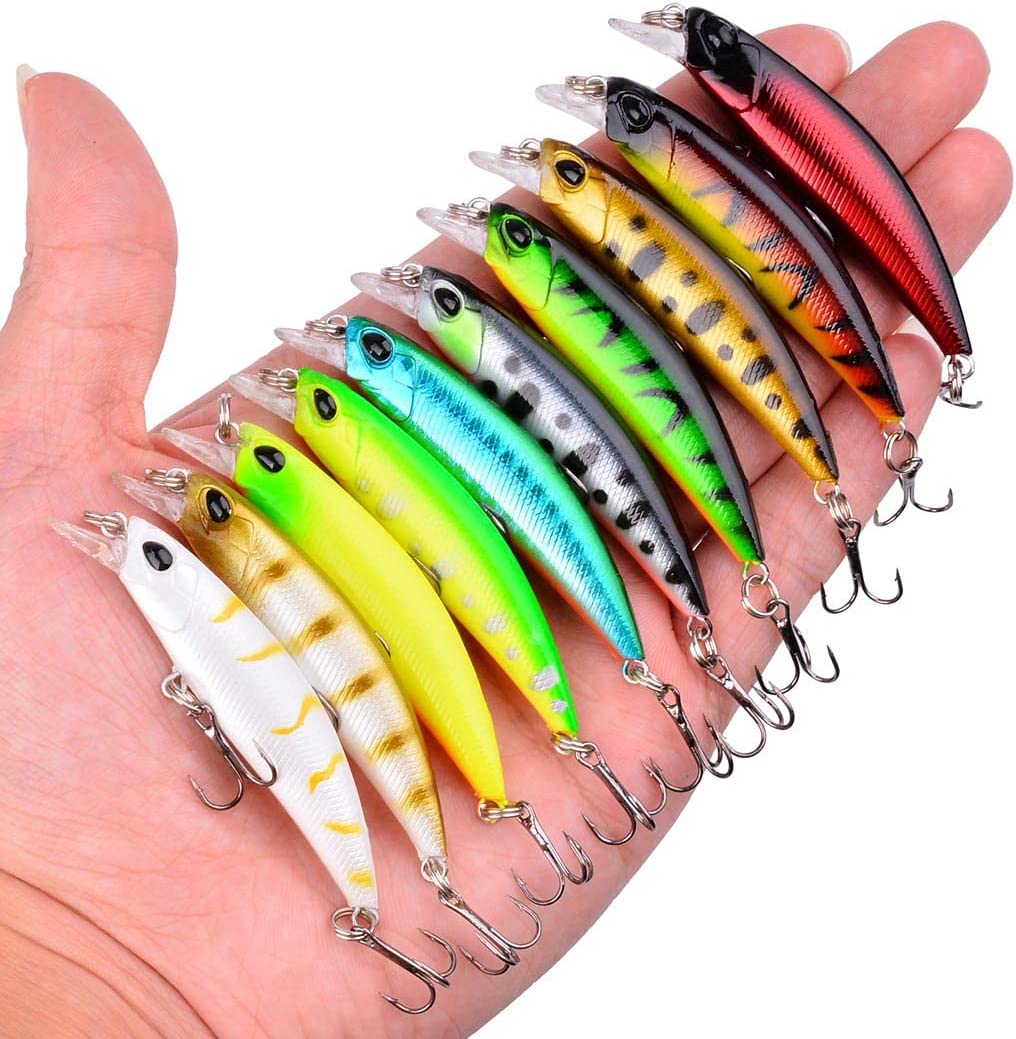 What Is a Fishing Lure and What Fish Are Attracted to It?