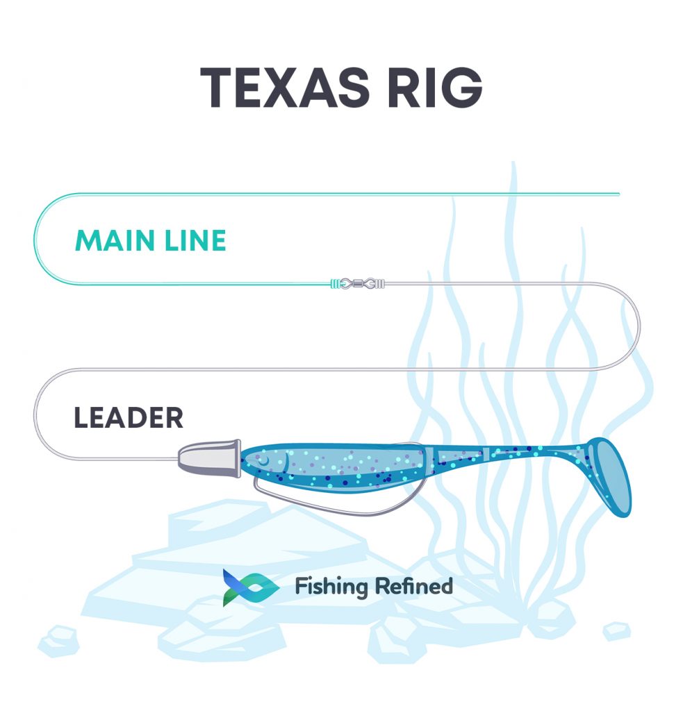 Top 3 Best Plastic Worms Most Effective for Bass Fishing
