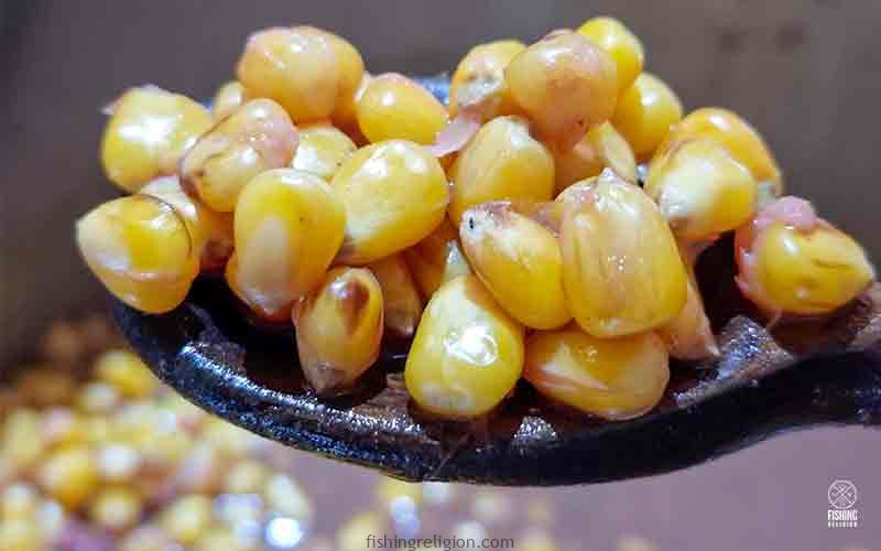 How to cook Chocolate Corn / Maize for fishing I Old School Carp Bait I