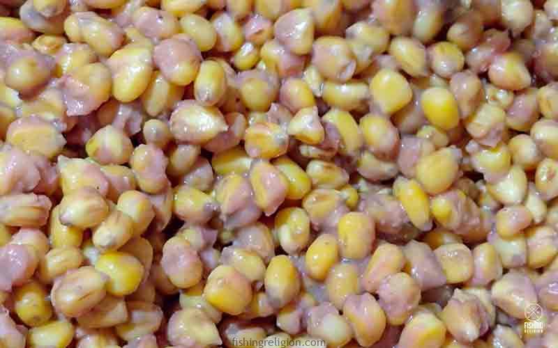 How to cook Chocolate Corn / Maize for fishing I Old School Carp Bait I