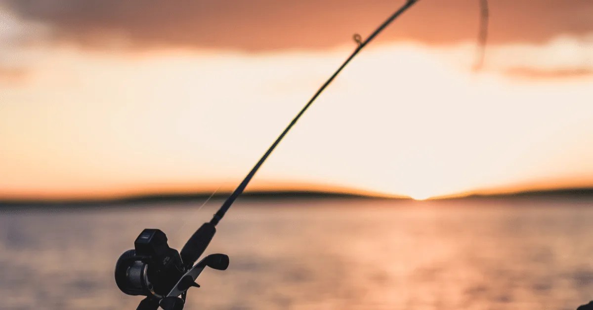 Are 1 Piece Or 2 Piece Fishing Rods Better? Succeed