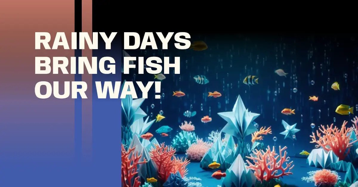 Do Fish Come Out When It Rains