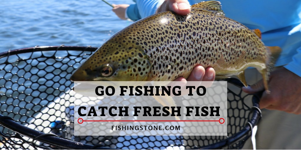 Go Fishing Today Top 10 Reasons to Spend the Day Fishing