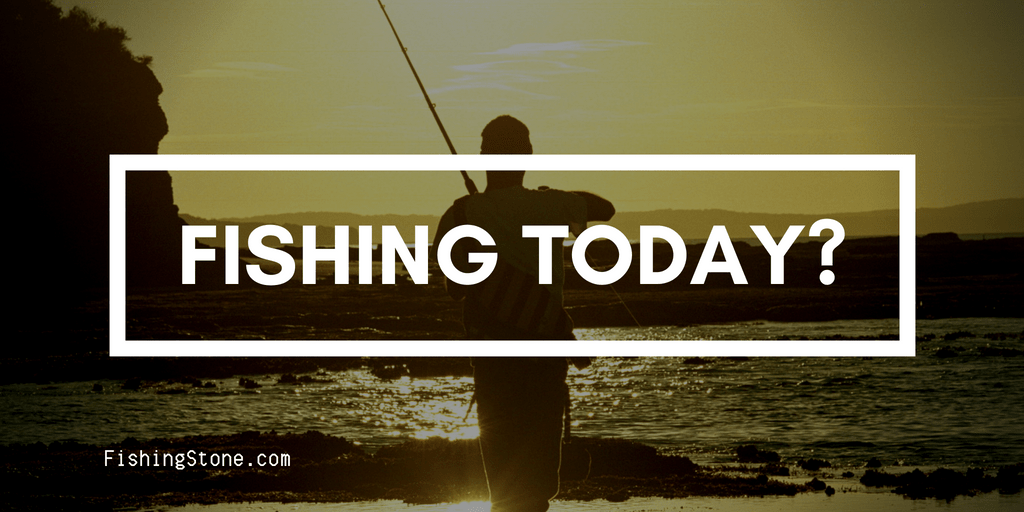 Go Fishing Today Top 10 Reasons to Spend the Day Fishing