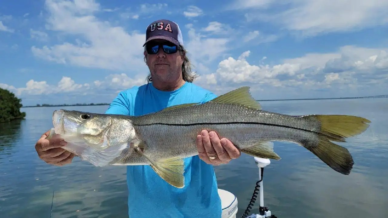 Fishing St Petersburg Fishing Charters