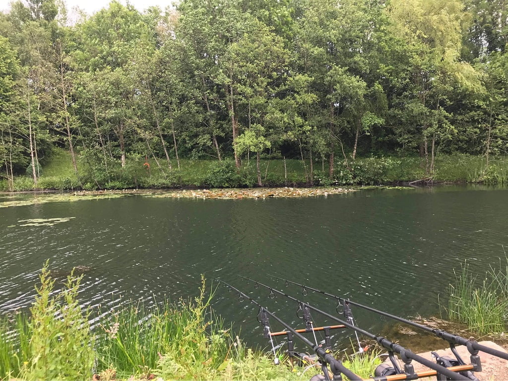 Brynmill & District Angling Club Half Round Ponds Fishing in Wales