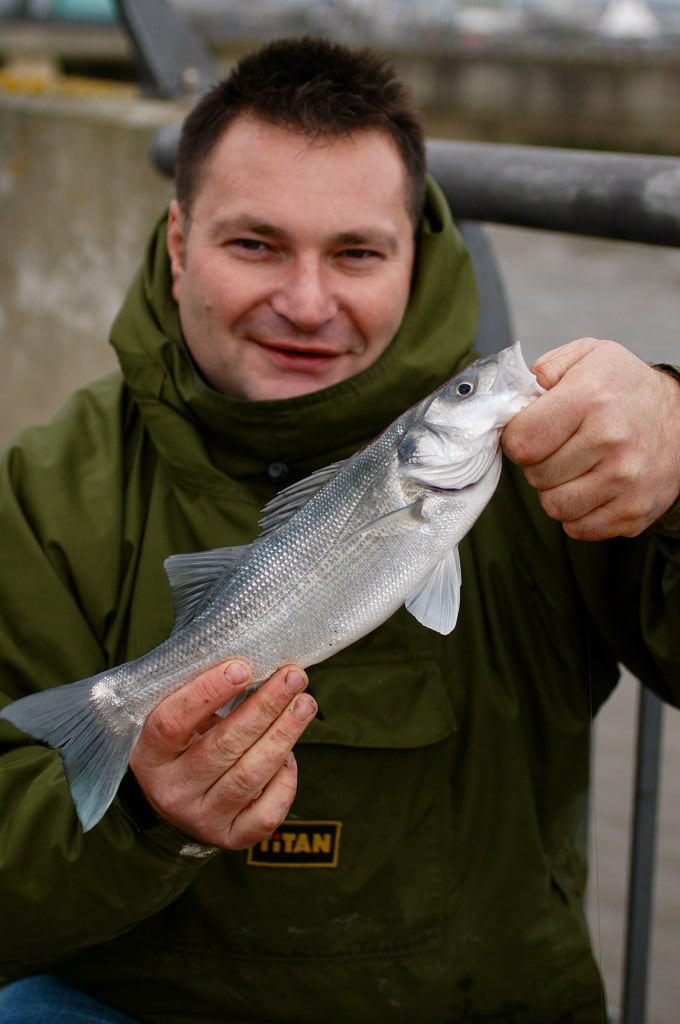 Easy Access Sea fishing in Wales Fishing in Wales