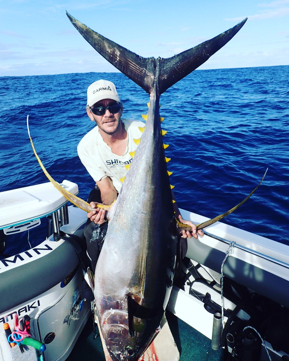 VIDEO Yellowfin tuna show on sounder before annihilating spread