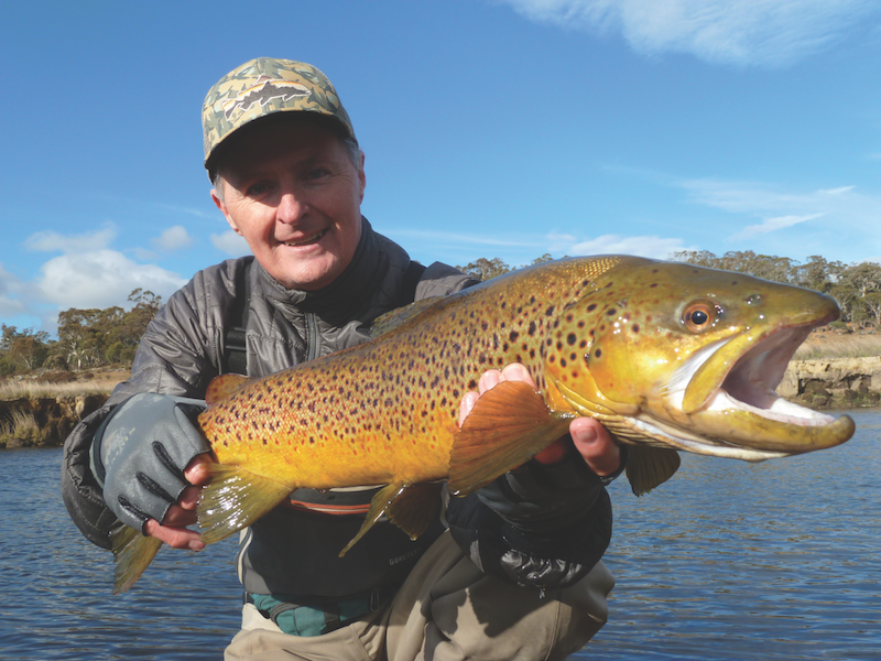 Target Snowy Mountains spawn run trout using spin gear Fishing World
