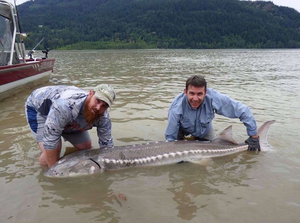 Fraser River sturgeon Fishing World Australia