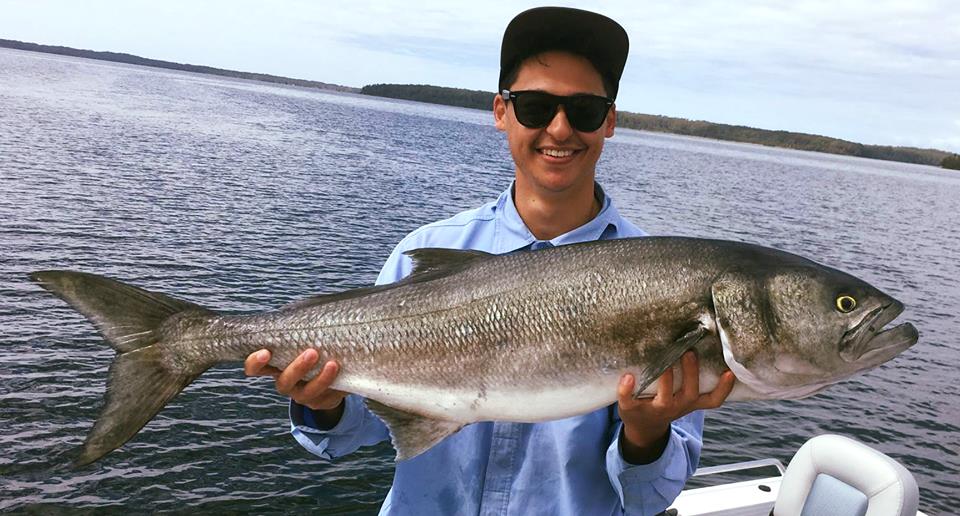 Massive Basin tailor! Fishing World Australia