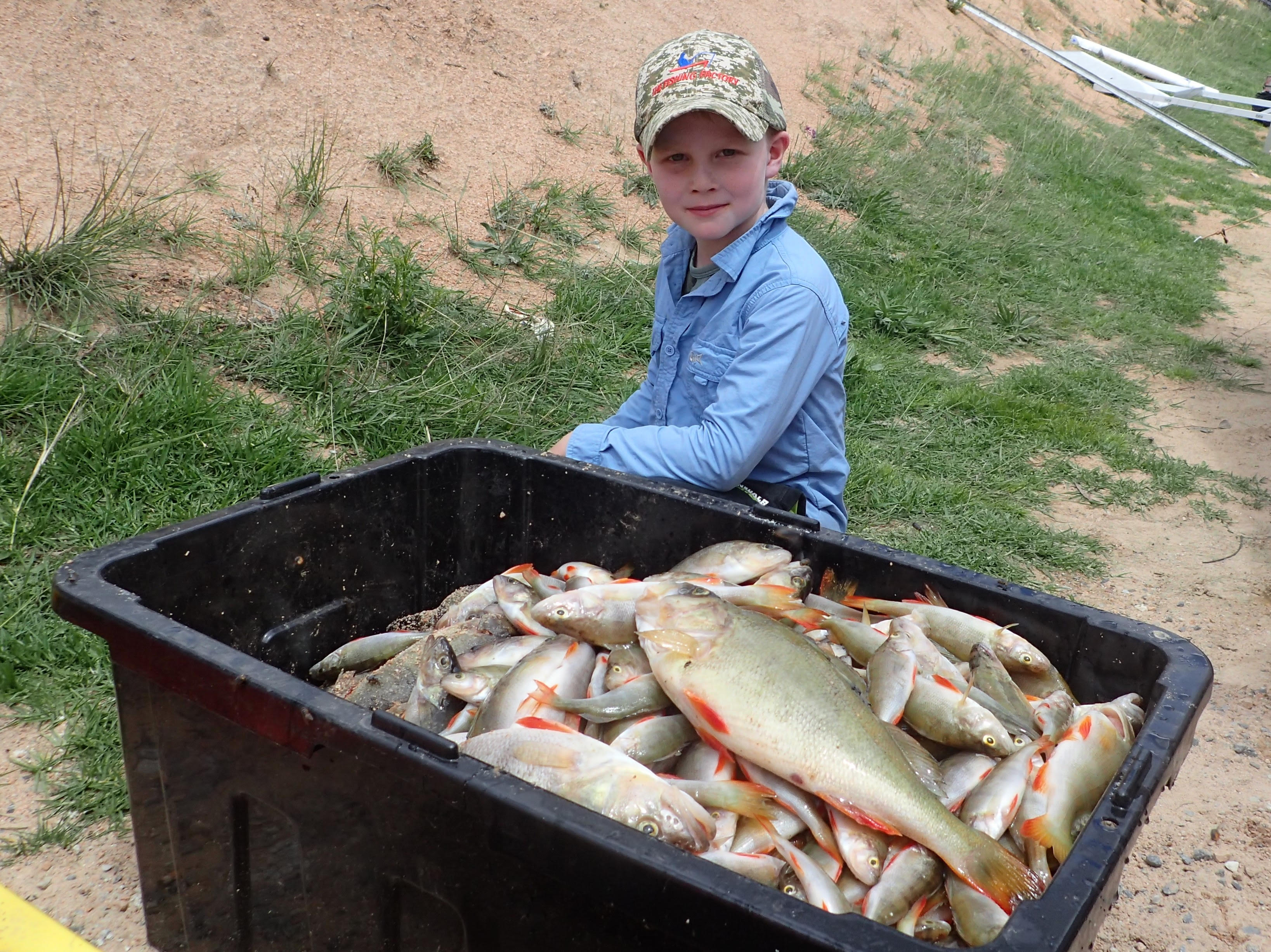 OPINION Redfin on the rise Fishing World Australia