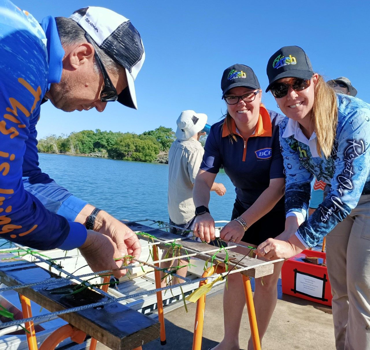 Seagrass restoration kick started at Mourilyan Harbour Innisfail Fishing World Australia