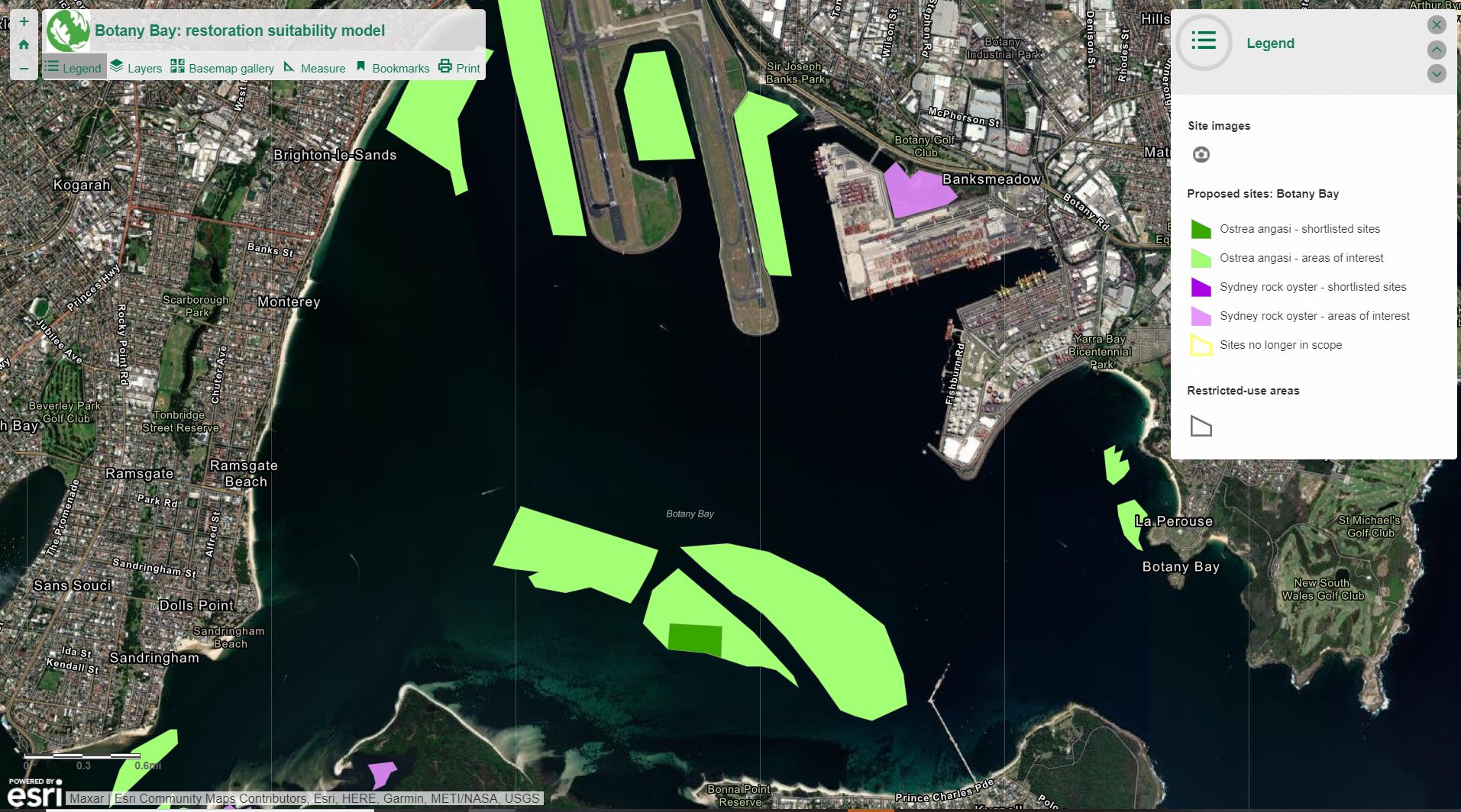 Recreational Fishing Alliance Botany Bay and River oyster