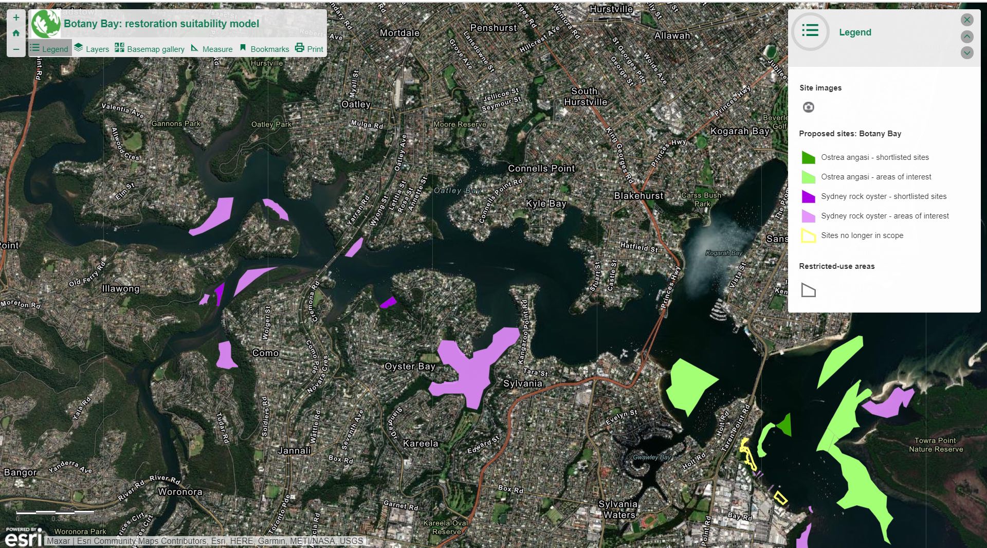 Recreational Fishing Alliance Botany Bay and River oyster