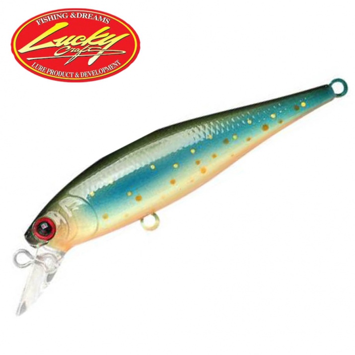 Lucky Craft Pointer 65 SP Brook Trout Fishing Zone