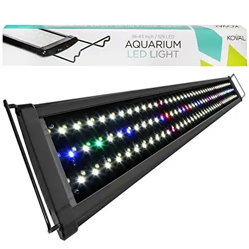 Aquarium Lighting Everything You Need To Know Fishkeeping Advice
