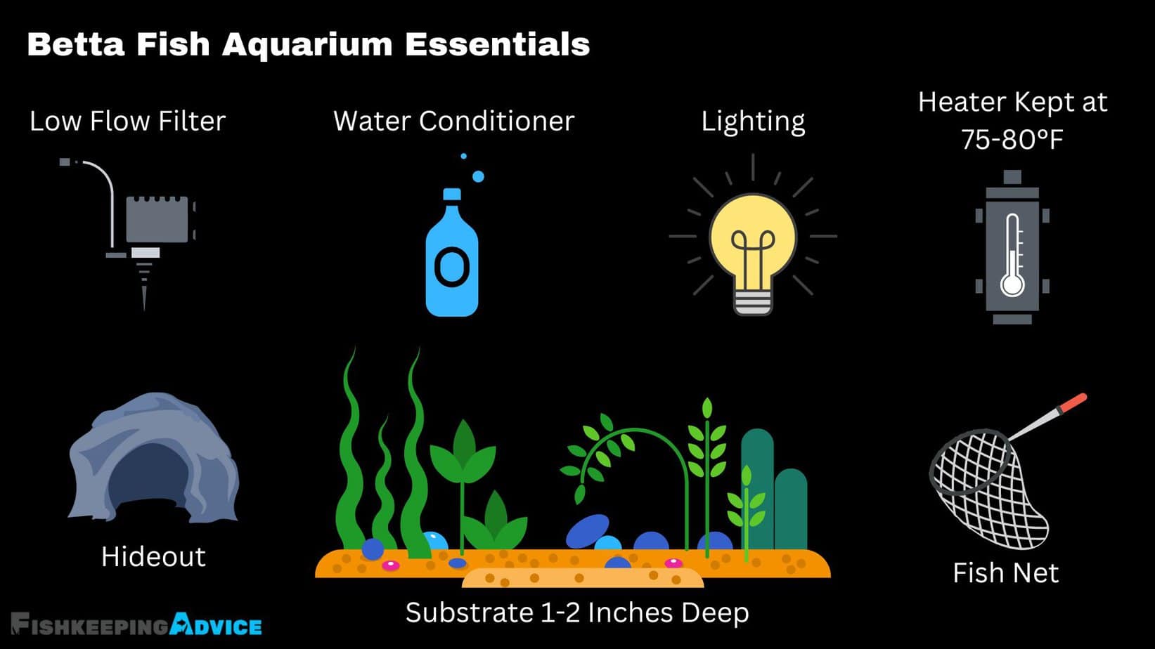 How To Create The Perfect Betta Fish Aquarium Expert Guide