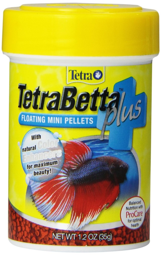 Complete Betta Fish Care Guide Fish Keeping Advice