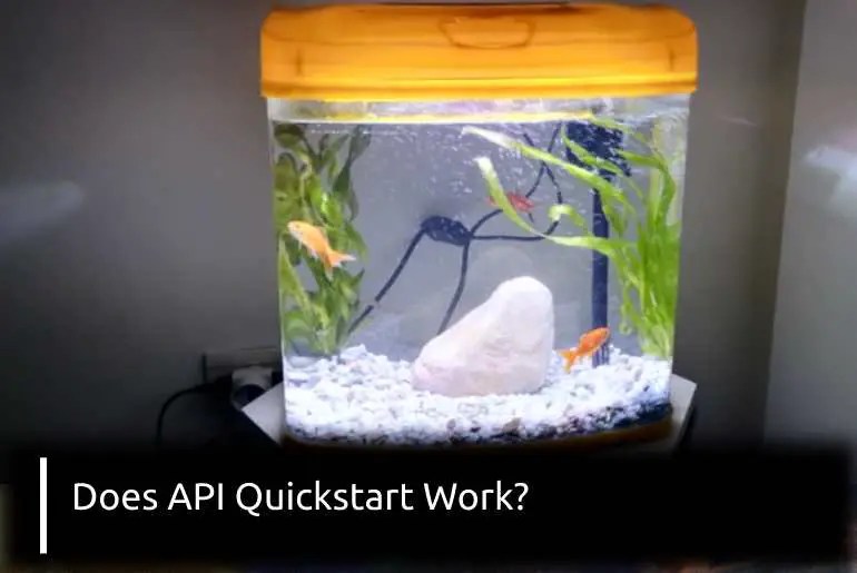 Does API Quick Start Work? Fish Keeping Guide