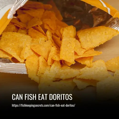 Can Fish Eat Doritos? Feeding Your Fish the Right Food