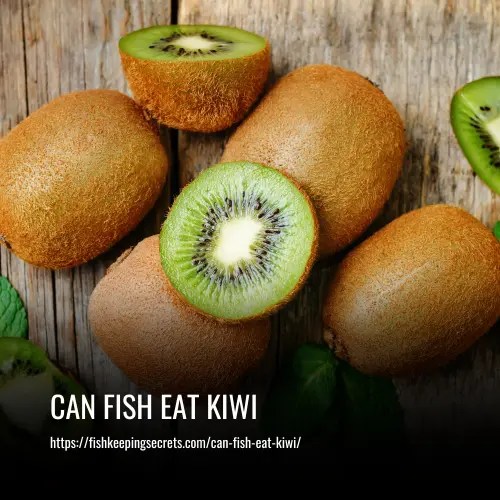 Can Fish Eat Kiwi