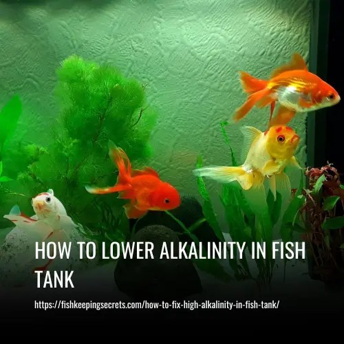 How to Lower Alkalinity in Fish Tank