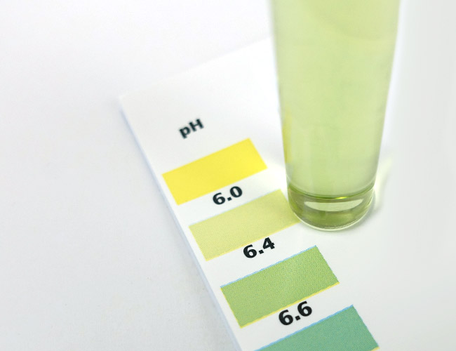 Beginner’s Guide to Aquarium Water Test Kits & which is best