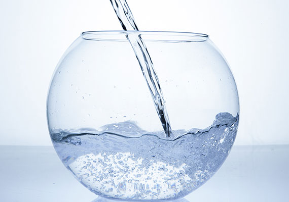 How To Remineralize Distilled Water For Aquarium Aquarium Views
