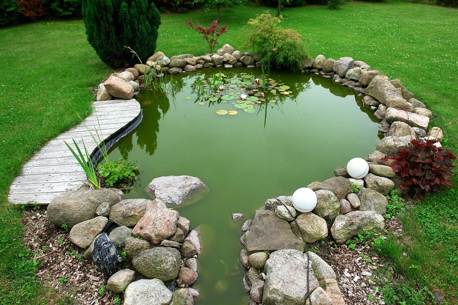 How Do I Clean And Maintain My Fish Pond?