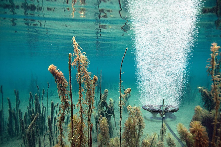 Best Pond Aerators Top 5 Picks for Healthy Pond Water