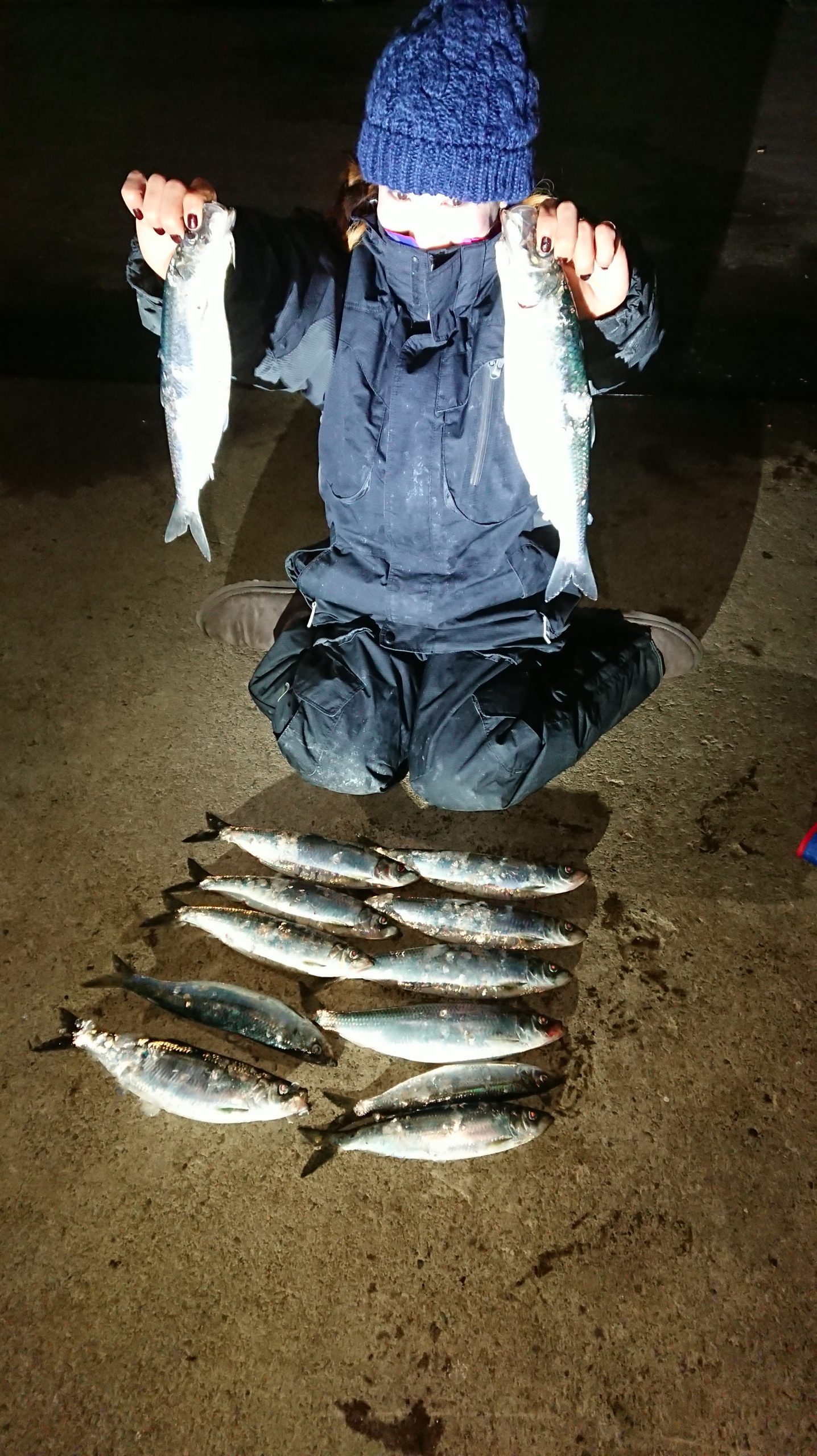函館港内ニシン情報 FISHLAND