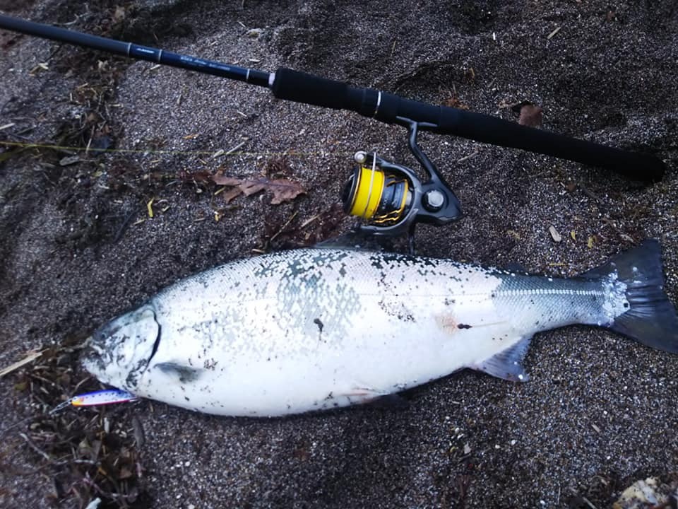 函館 フィッシュ ランド 釣り 情報