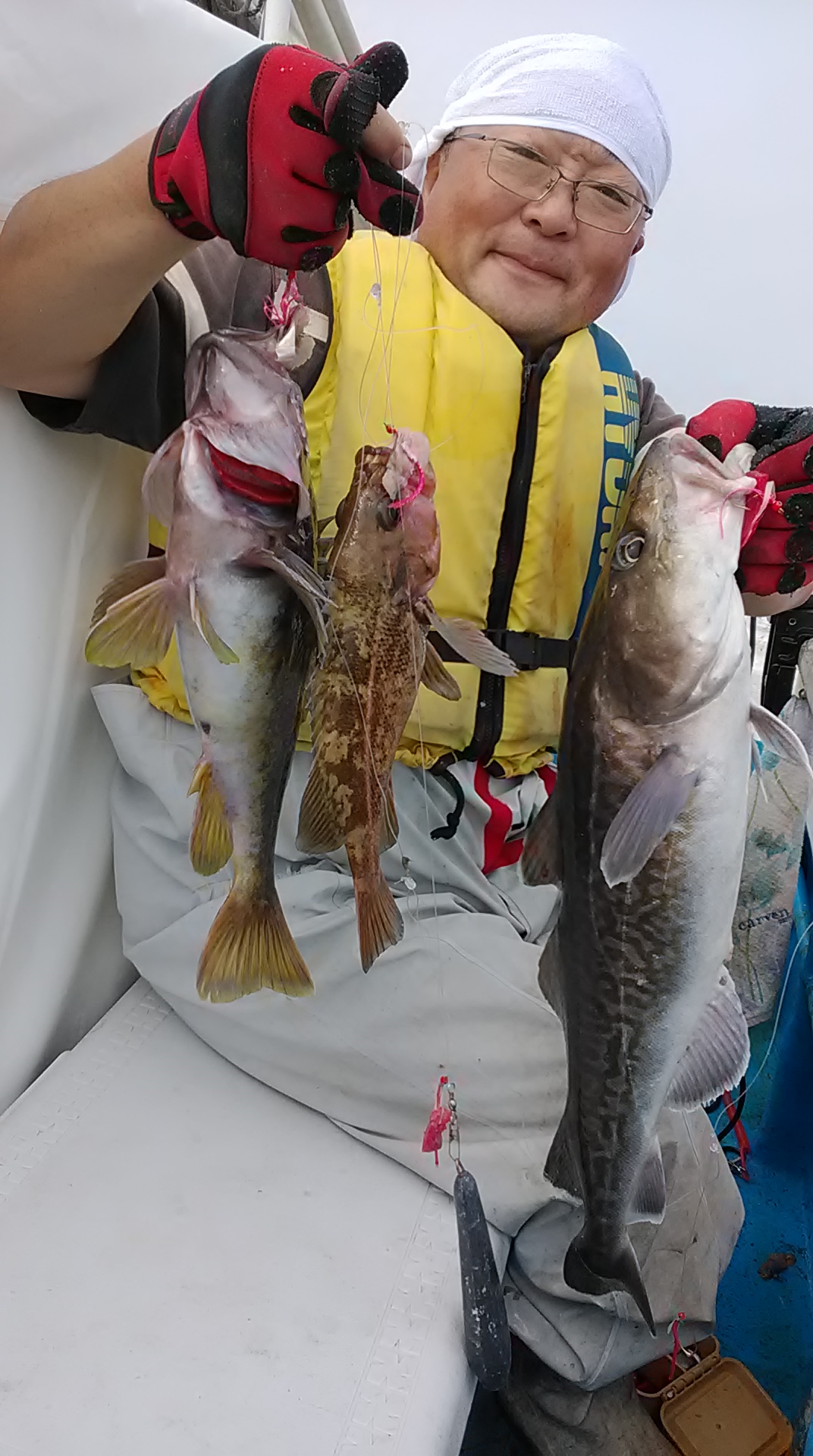 釧路西港 釣りキチ丸さんより情報です。 FISHLAND