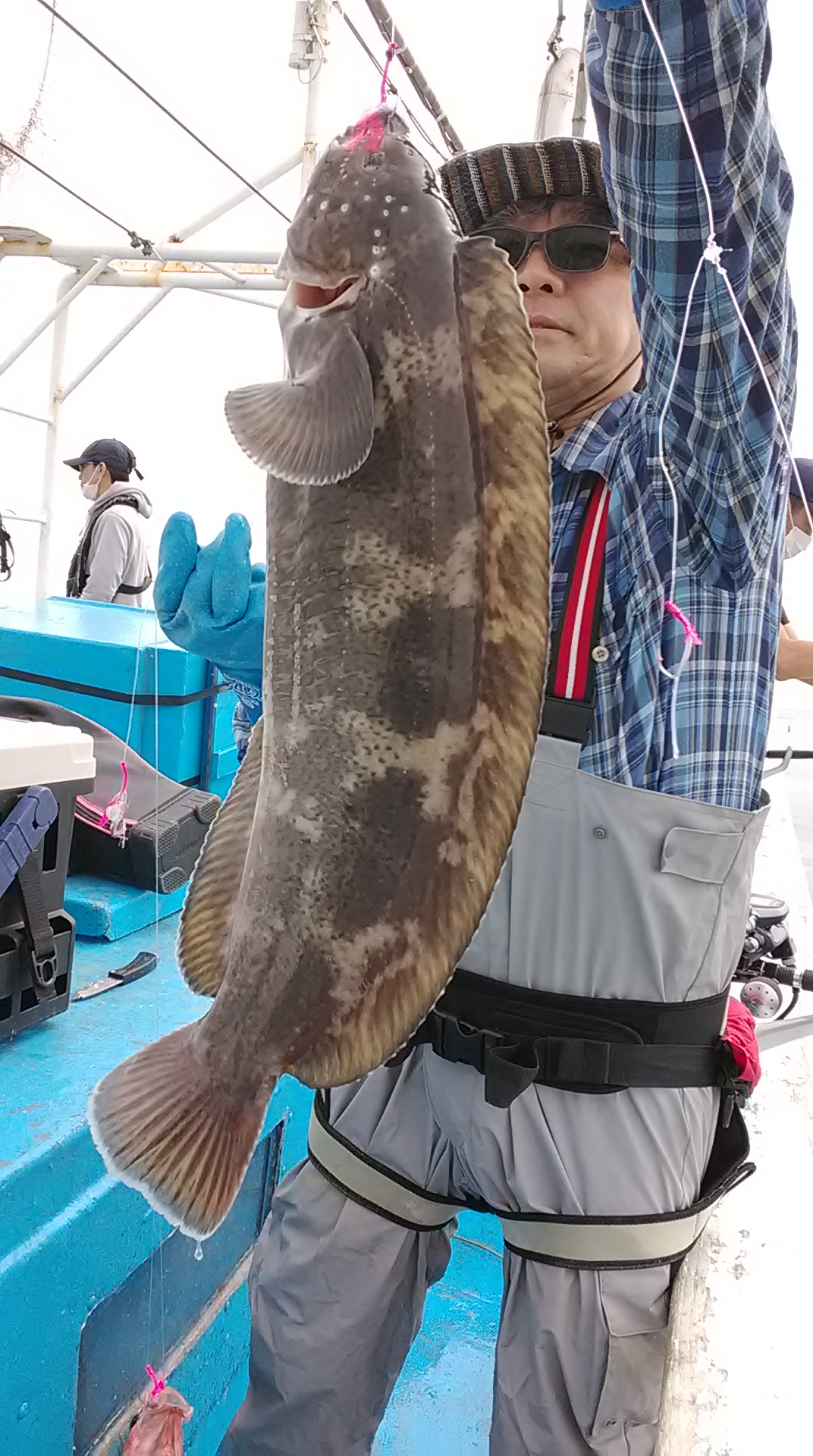 釧路西港 釣りキチ丸さんより情報です。 FISHLAND