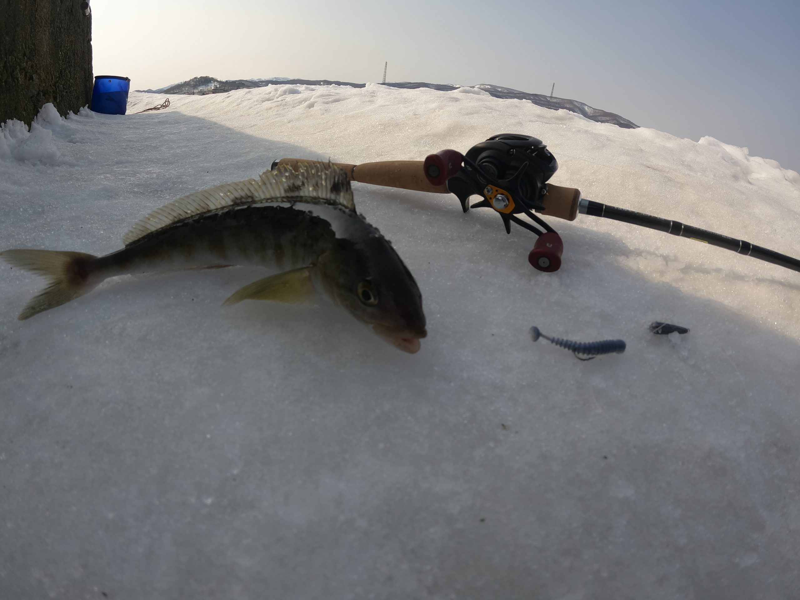 5+ 札幌 近郊 釣り 情報 Ideas