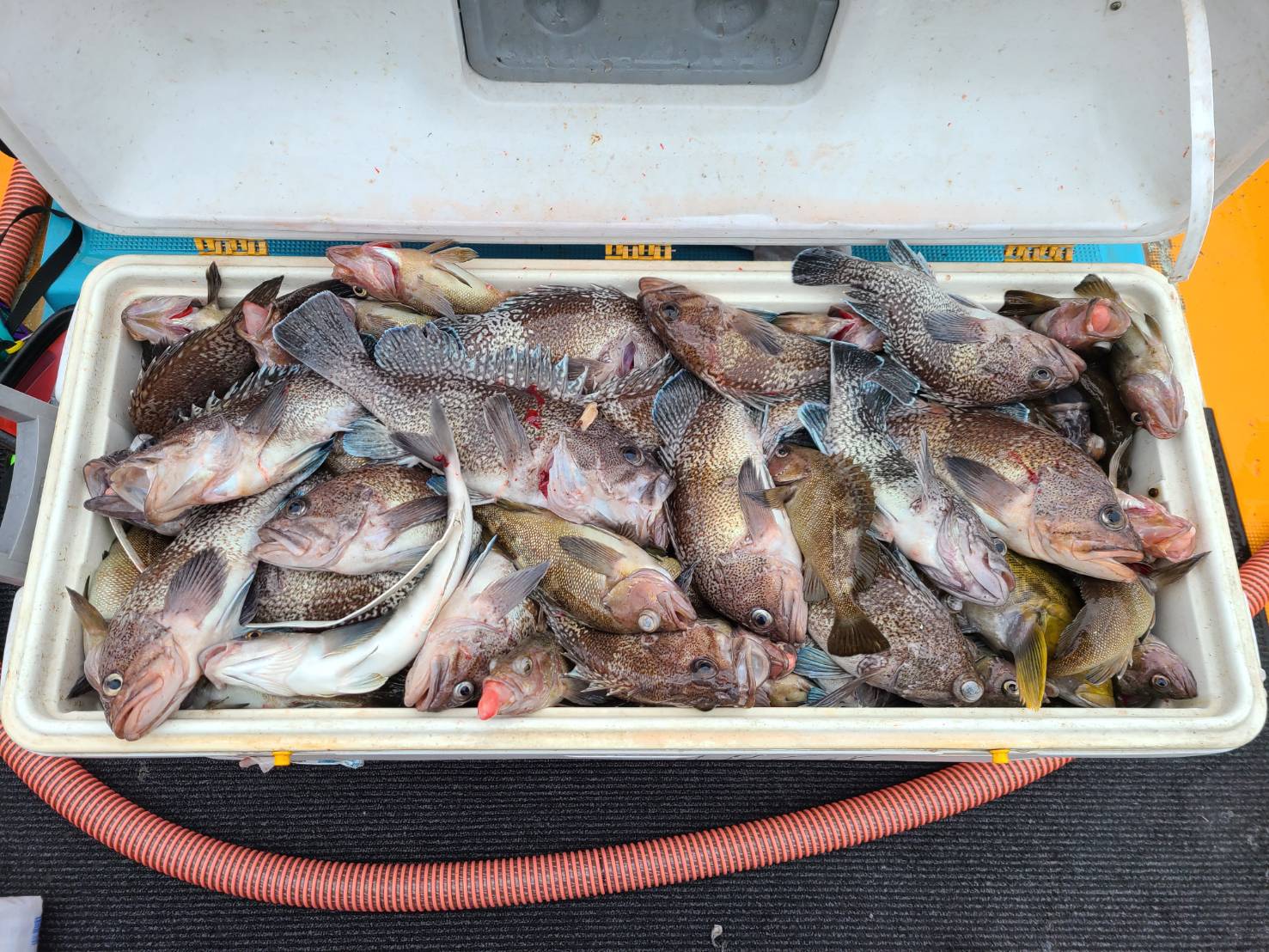 滝川店 FISHLAND