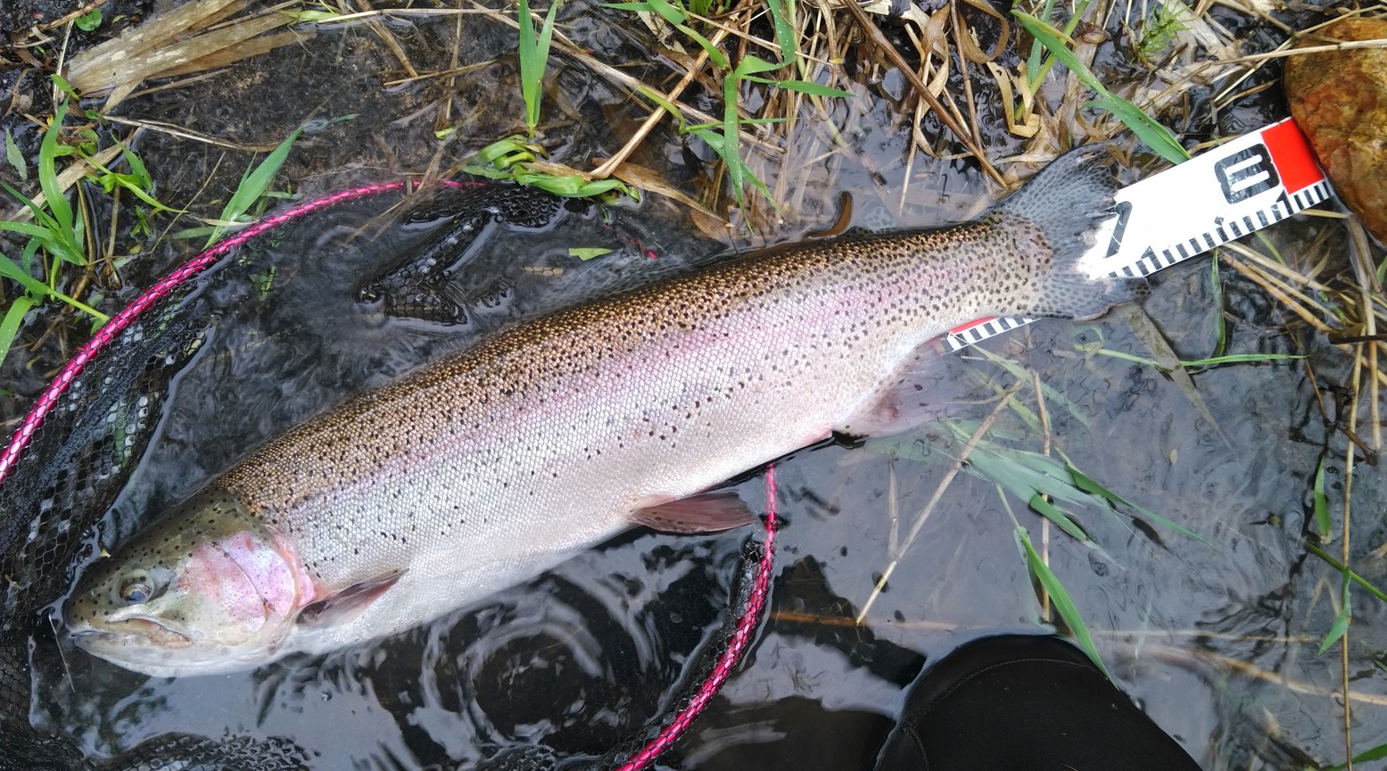 [最も人気のある！] さっぽろ湖 釣り 禁止 426999さっぽろ湖 釣り 禁止 Josspixxz2p