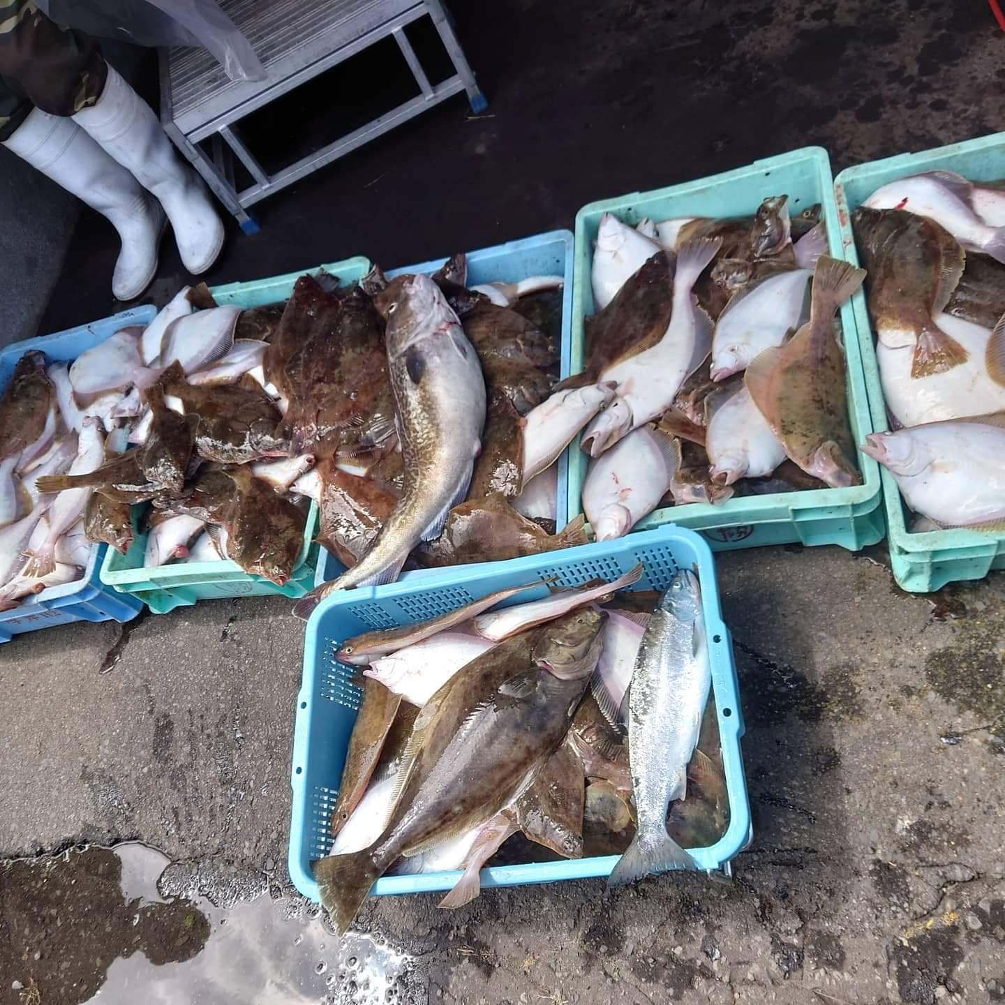 釧路桂木店 FISHLAND