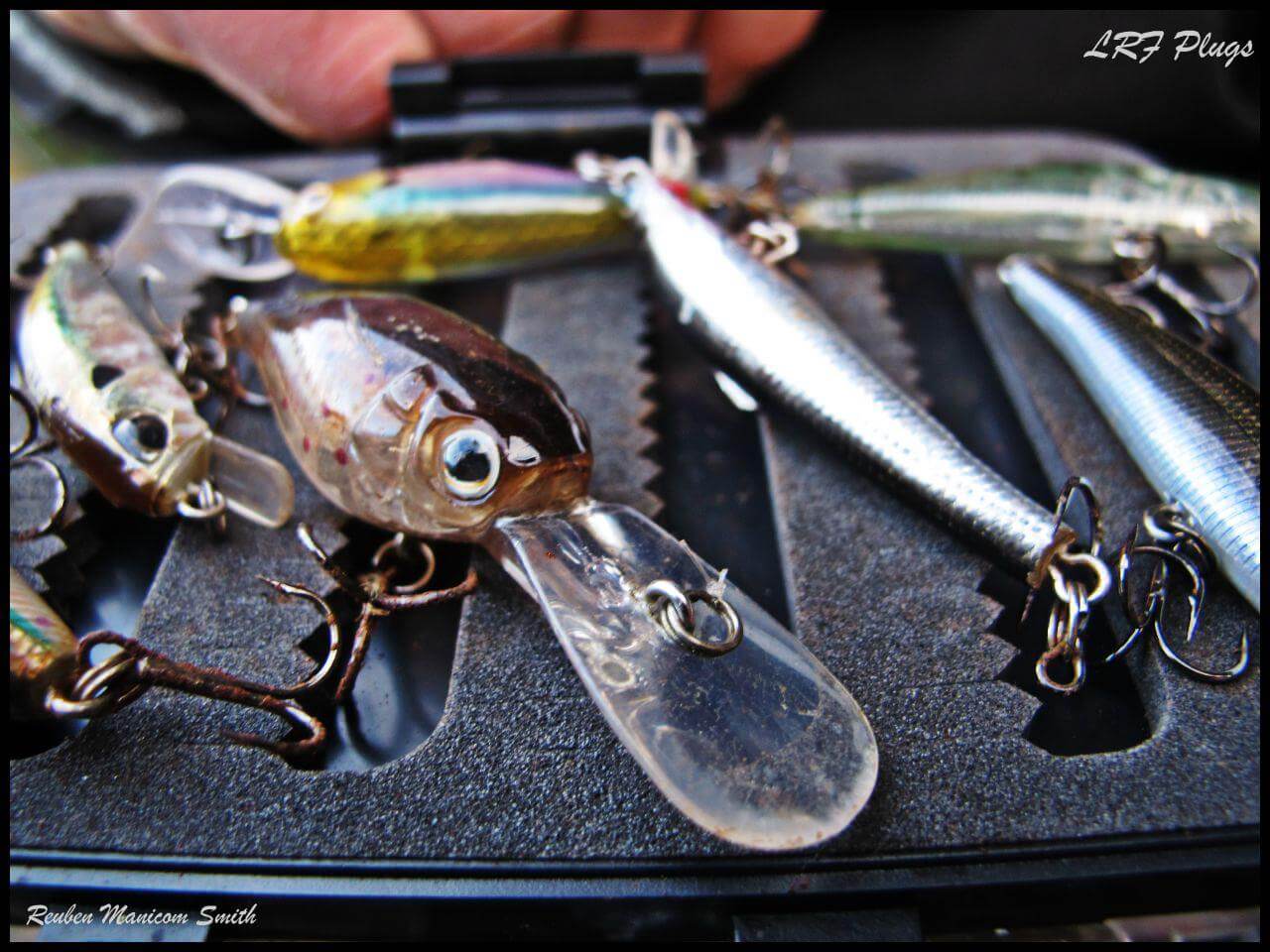 Best Trout Lures UK The Only Brown Trout Lures You'll Ever Need
