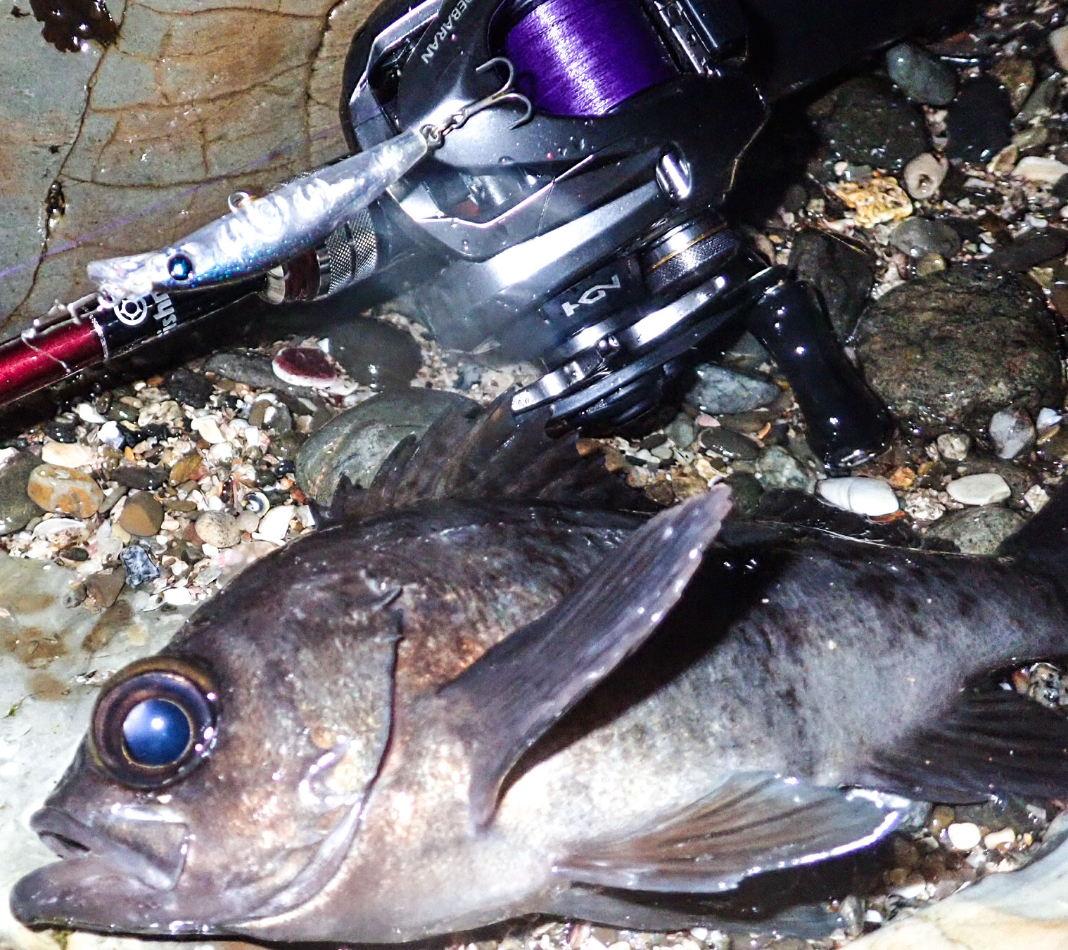 デカメバルシーズン到来！適正な糸巻量で快適な釣りを Fishman公式ブログ