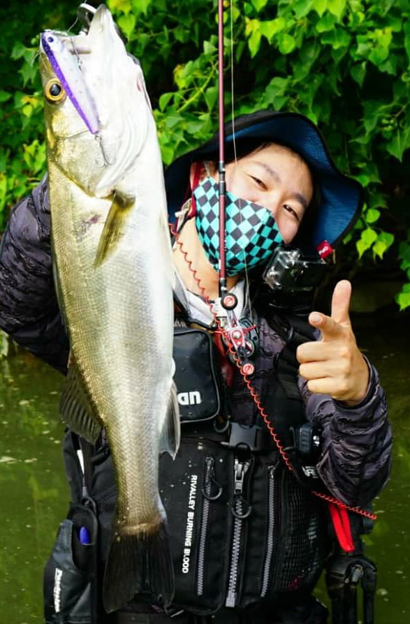 【Fishmanブログ】 夏シーバスの醍醐味！デイトップのすすめ！