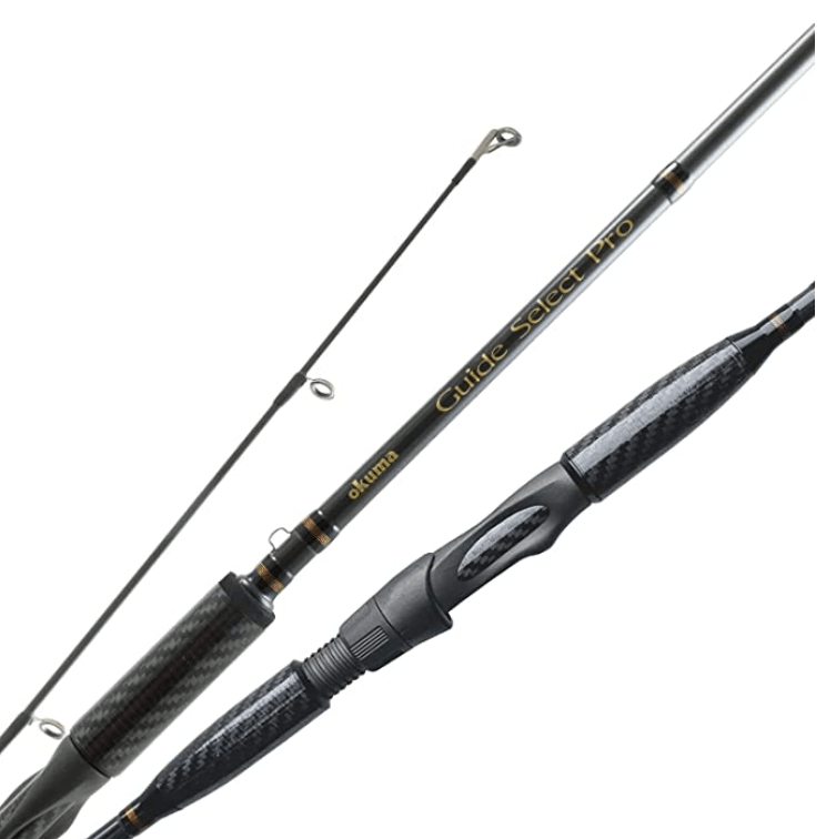 8 Best Salmon Trolling Rods for 2024