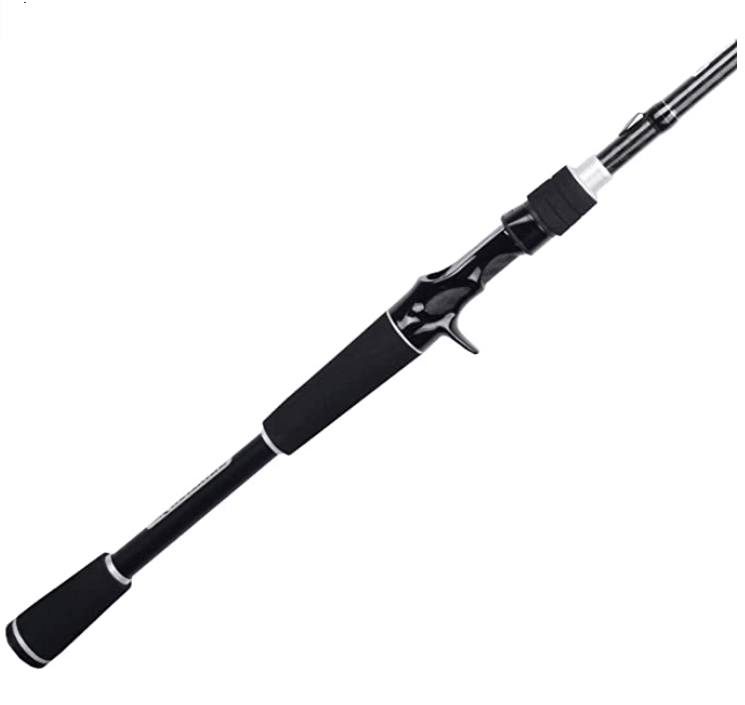 10 Best Graphite Fishing Rods of 2024