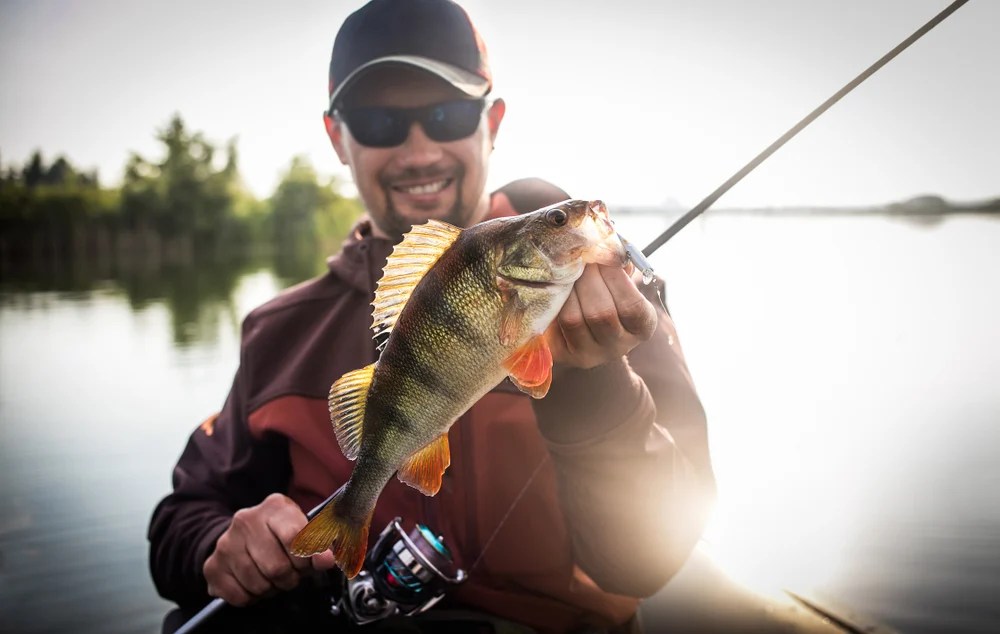 5 Best Perch Lures for 2024 Fishing