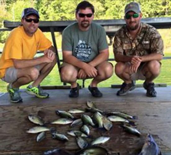Greers Ferry Lake AR Fishing Guides